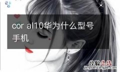 cor al10华为什么型号手机