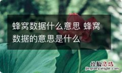 蜂窝数据什么意思 蜂窝数据的意思是什么