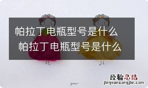 帕拉丁电瓶型号是什么 帕拉丁电瓶型号是什么意思