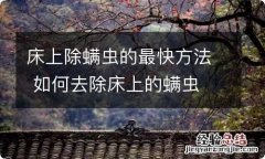 床上除螨虫的最快方法 如何去除床上的螨虫