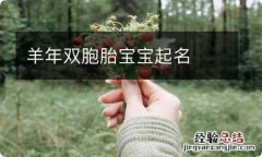 羊年双胞胎宝宝起名