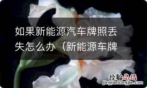 新能源车牌丢失不得补发 如果新能源汽车牌照丢失怎么办