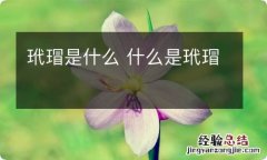 玳瑁是什么 什么是玳瑁