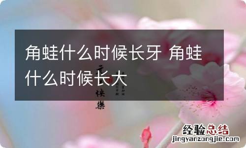 角蛙什么时候长牙 角蛙什么时候长大