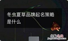 冬虫夏草品牌起名策略是什么