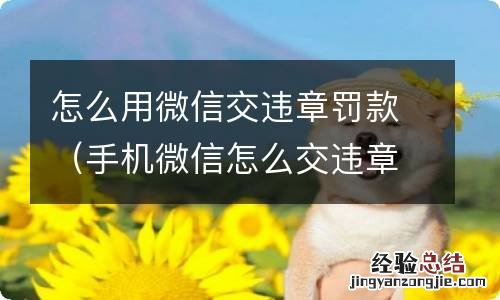 手机微信怎么交违章罚款 怎么用微信交违章罚款