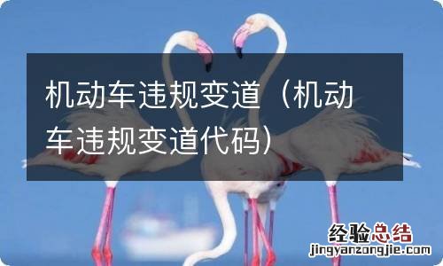机动车违规变道代码 机动车违规变道