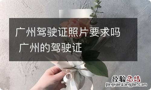 广州驾驶证照片要求吗 广州的驾驶证