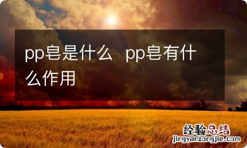 pp皂是什么pp皂有什么作用