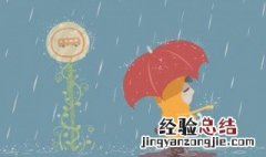 形容下雨天心情不好的句子 雨天伤感的句子