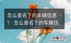 怎么查名下的车辆信息？ 怎么查名下的车辆信息