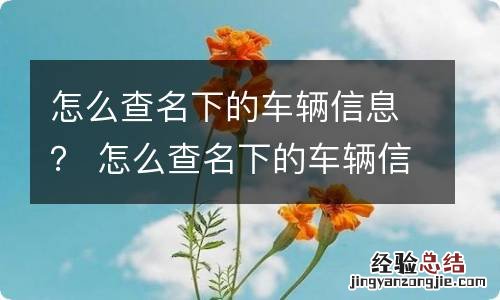 怎么查名下的车辆信息？ 怎么查名下的车辆信息