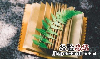 早晨心情愉快唯美句子 早晨心情愉快句子有哪些