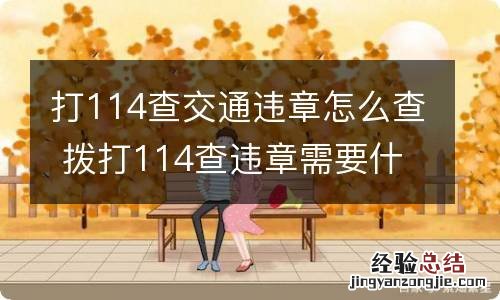 打114查交通违章怎么查 拨打114查违章需要什么