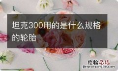 坦克300用的是什么规格的轮胎