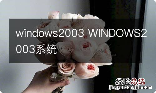 windows2003 WINDOWS2003系统