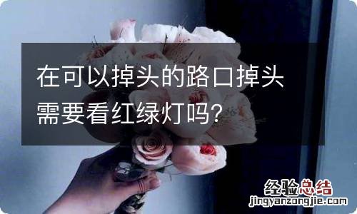 在可以掉头的路口掉头需要看红绿灯吗？