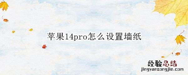 苹果14pro怎么设置墙纸 iphone12promax怎么设置壁纸