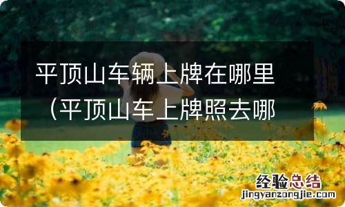 平顶山车上牌照去哪里 平顶山车辆上牌在哪里