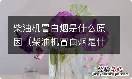 柴油机冒白烟是什么原因怎么解决这个视频 柴油机冒白烟是什么原因