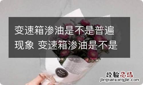 变速箱渗油是不是普遍现象 变速箱渗油是不是普遍现象引起的