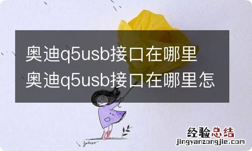 奥迪q5usb接口在哪里 奥迪q5usb接口在哪里怎么播放