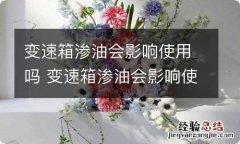 变速箱渗油会影响使用吗 变速箱渗油会影响使用吗视频