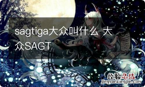 sagtiga大众叫什么 大众SAGT