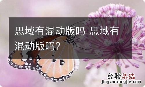 思域有混动版吗 思域有混动版吗?