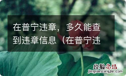 在普宁违章,多久能查到违章信息呢 在普宁违章，多久能查到违章信息