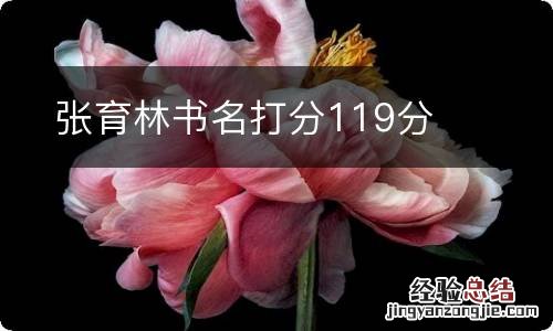 张育林书名打分119分