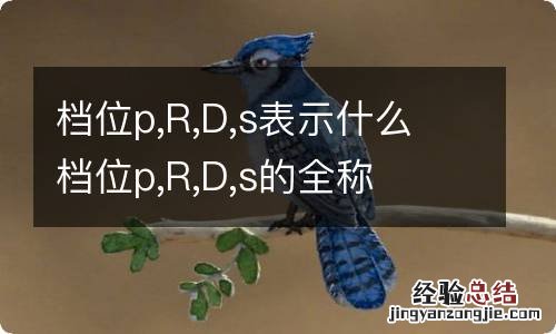 档位p,R,D,s表示什么 档位p,R,D,s的全称