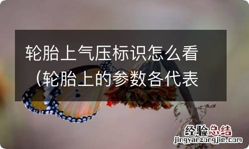 轮胎上的参数各代表什么 轮胎上气压标识怎么看