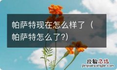 帕萨特怎么了? 帕萨特现在怎么样了