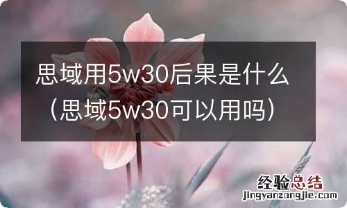 思域5w30可以用吗 思域用5w30后果是什么