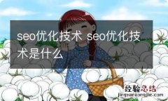 seo优化技术 seo优化技术是什么