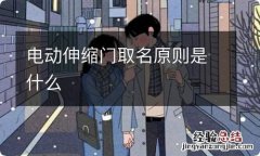 电动伸缩门取名原则是什么