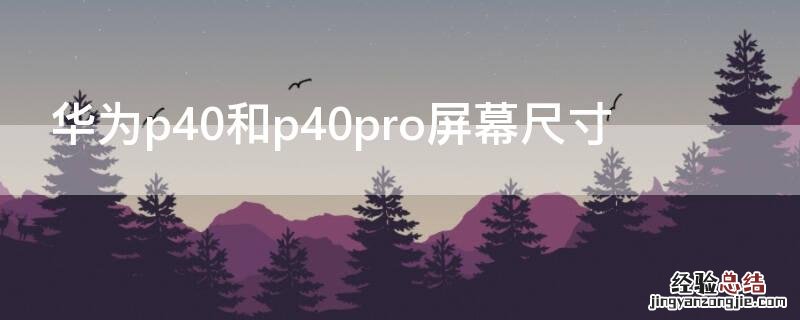 华为p40和p40pro屏幕尺寸