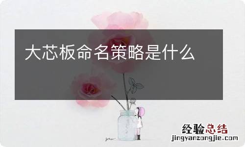 大芯板命名策略是什么