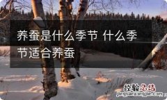 养蚕是什么季节 什么季节适合养蚕