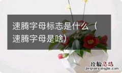 速腾字母是啥 速腾字母标志是什么