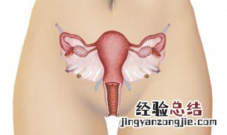 女性上环什么环最好 女性上什么环最好