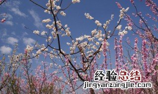 阳光明媚是描写什么季节的 阳光明媚是春季吗