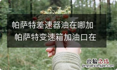 帕萨特差速器油在哪加 帕萨特变速箱加油口在哪里?