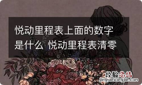 悦动里程表上面的数字是什么 悦动里程表清零按钮