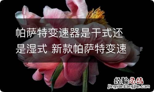 帕萨特变速器是干式还是湿式 新款帕萨特变速箱是湿式还是干式