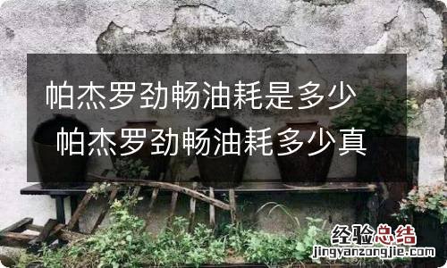 帕杰罗劲畅油耗是多少 帕杰罗劲畅油耗多少真实油耗