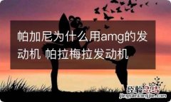 帕加尼为什么用amg的发动机 帕拉梅拉发动机