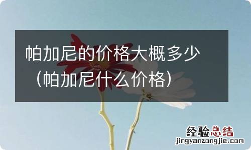 帕加尼什么价格 帕加尼的价格大概多少