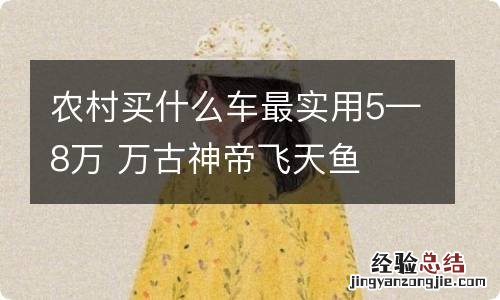 农村买什么车最实用5—8万 万古神帝飞天鱼